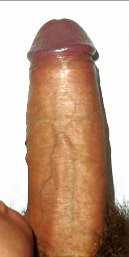 681853966
