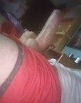 Pollon xxl