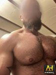 Animal Muscle 
