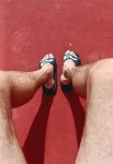 verano verano