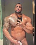 Macho latino Pollon Macho latino Pollon