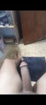 Pollon Pollon
