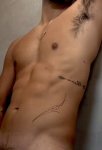 Body Body