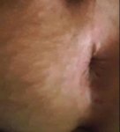 Lengua