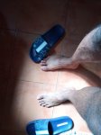 pies pies