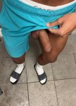 Pollon real 