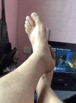 Pies